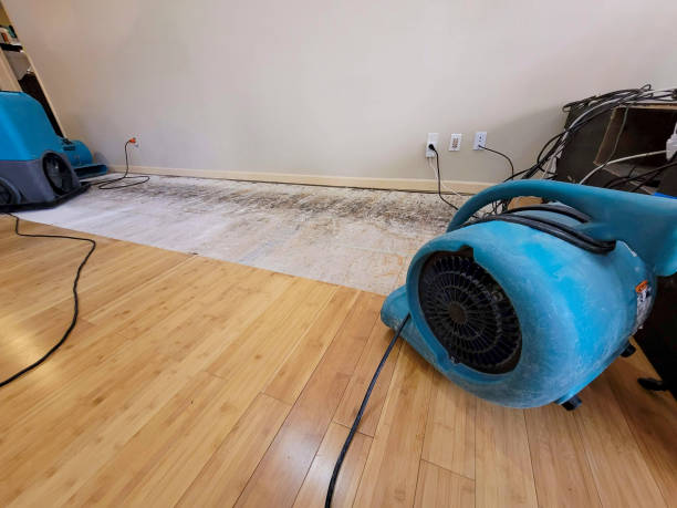 Professional Water Damage Repair technician working in Three Rivers, MI